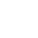 icon products